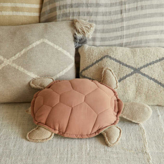 COJIN TURTLE