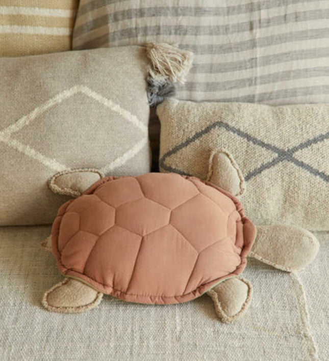 COJIN TURTLE